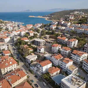 Gül , Datça Türkiye
